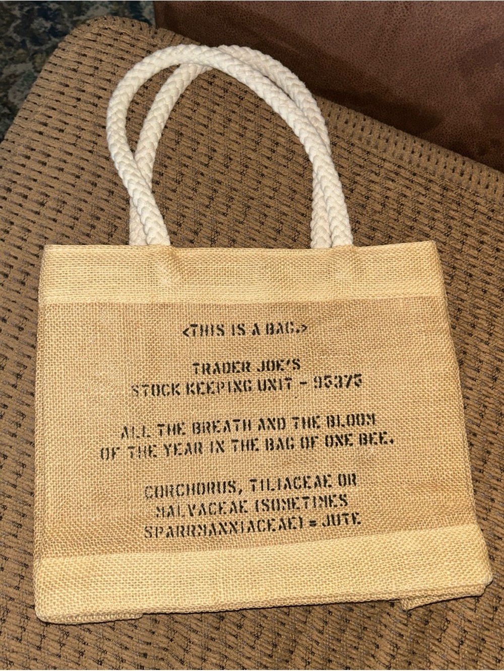 Rare Trader Joe’s Mini Jute Burlap Plastic Coated Lined Tote Unit 95375